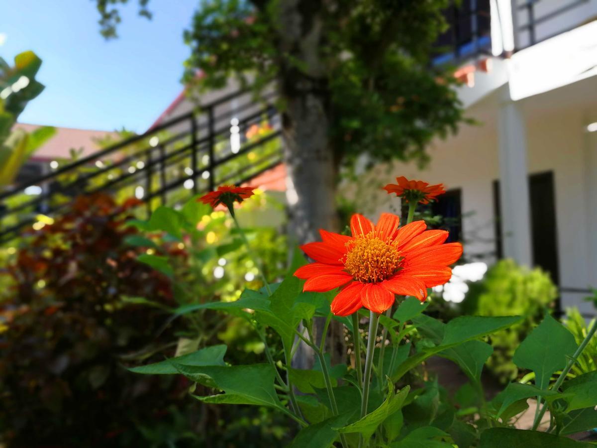 Angkor Hotel Siem Reap Buitenkant foto